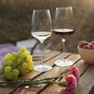 Stolzle Cocoon Red Wine Glass 609ml / 21.5oz additional 3