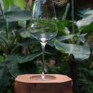 Stolzle Cocoon White Wine Glass 483ml / 17oz additional 4