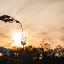 Stolzle Cocoon White Wine Glass 483ml / 17oz additional 3