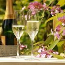 Stolzle Ultra Champagne Flute 185ml / 6.5oz additional 2