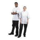 Whites Nevada Unisex Chefs Jacket Black &amp; White - Short Sleeve additional 7