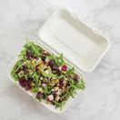 Vegware VA-SH89 Compostable Bagasse Clamshell Hinged Meal Boxes 228mm additional 4