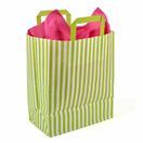 25cm x 30cm x 14cm Lime Green Striped Medium Paper Carrier Bags additional 1