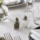 Zodiac Square Glass Salt Shaker 12 pack additional 2