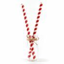 Green &amp; White Paper Smoothie Straw 225mm x 8mm Bore additional 1
