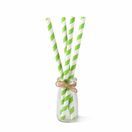 Green &amp; White Paper Smoothie Straw 225mm x 8mm Bore additional 2