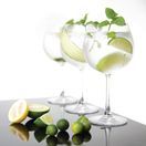 Olympia Bar Collection Crystal Gin Glasses 645ml additional 4