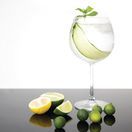 Olympia Bar Collection Crystal Gin Glasses 645ml additional 7