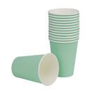 Fiesta Recyclable Single Wall Takeaway Coffee Cups Turquoise 340ml additional 2