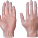 Clear Powder Free Vinyl Gloves additional 3