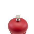 Engraved Knobs For Salt And Pepper Grinders 6pcs additional 2