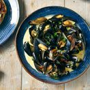 Terra Porcelain Aqua Blue Organic Coupe Bowl 26.5cm additional 3