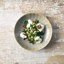 Terra Porcelain Matt Grey Scalloped Coupe Bowl 22.8cm additional 2