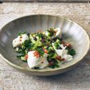 Terra Porcelain Matt Grey Scalloped Coupe Bowl 22.8cm additional 3