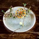 Lunar Ocean Hygge Flat Plate 16cm additional 3
