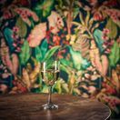 Tokyo Wine Glass 29cl/ 10.2oz additional 2