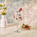 Harmony Polycarbonate Wine Glass 38cl/ 13.4oz additional 2