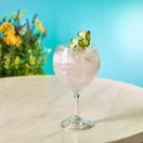 Twilight Polycarbonate Gin Glass 64cl/ 22.5oz additional 2