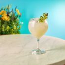 Twilight Polycarbonate Gin Glass 64cl/ 22.5oz additional 3