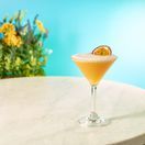 Twilight Polycarbonate Martini Glass 21.5cl/ 7.6oz additional 2