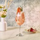 Twilight Polycarbonate Wine Glass 49cl/ 17.2oz additional 2