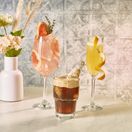 Twilight Polycarbonate Wine Glass 49cl/ 17.2oz additional 3