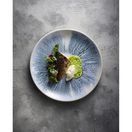Churchill Lyra Blue Evolve Coupe Plates 217mm additional 2