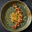 Kozo Porcelain Midori Deep Plate 23cm additional 2