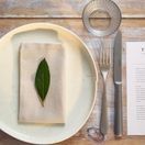 Kozo Porcelain Shiro Coupe Plate 26.7cm additional 5