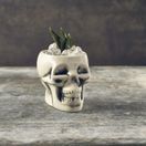 Genware White Skull Tiki Mug 40cl/ 14oz additional 3