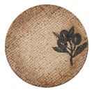 Academy Fusion Eden Coupe Plate - 27cm/10½ additional 1