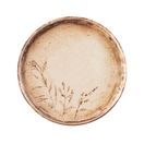 Academy Fusion 20161021 Meadow Signature Plate 21cm / 8” additional 1