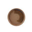 Roots Stoneware CST-JRDMT10 Coastal Signature Plate 10cm / 4” additional 2