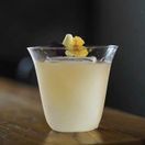 CR0014 Speciality Glassware Nolita Cocktail Glass 255ml / 9oz additional 3