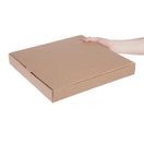Fiesta Compostable Plain Pizza Boxes 14" additional 6