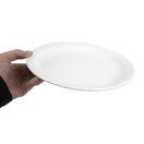 Olympia Whiteware Narrow Rimmed Plates 250mm additional 5