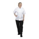 Whites Boston Unisex Chefs Jacket Short Sleeve White additional 6