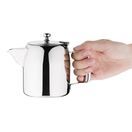 Olympia Cosmos Stainless Steel Teapot 570ml additional 3