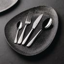 Churchill Cooper Dessert Spoons additional 4