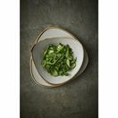 Churchill Stonecast Raw Lotus Plates Grey 254mm additional 2