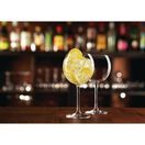 Arcoroc Juniper Gin Cocktail Glasses 24oz additional 5