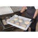 Cambro Polyethylene Pizza Dough Box additional 4
