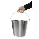 Jantex Stainless Steel Bucket 12Ltr additional 6