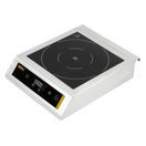 Buffalo Heavy Duty Induction Hob 3kW additional 3