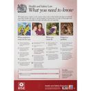 Health &amp; Safety Law Poster A2 additional 1