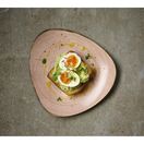 Churchill Stonecast Raw Terracotta Lotus Plate 229mm additional 2