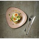 Churchill Stonecast Raw Terracotta Lotus Plate 254mm additional 2