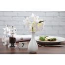 Olympia Whiteware Bud Vases 125mm additional 3