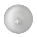 APS Plate Cloche 295mm additional 4