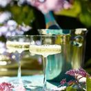 Power Cocktail Glass 276ml/9.25oz additional 5